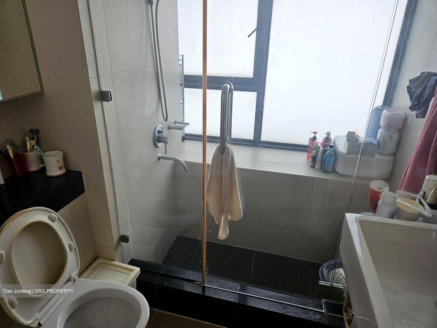The Beacon (D2), Apartment #481438741